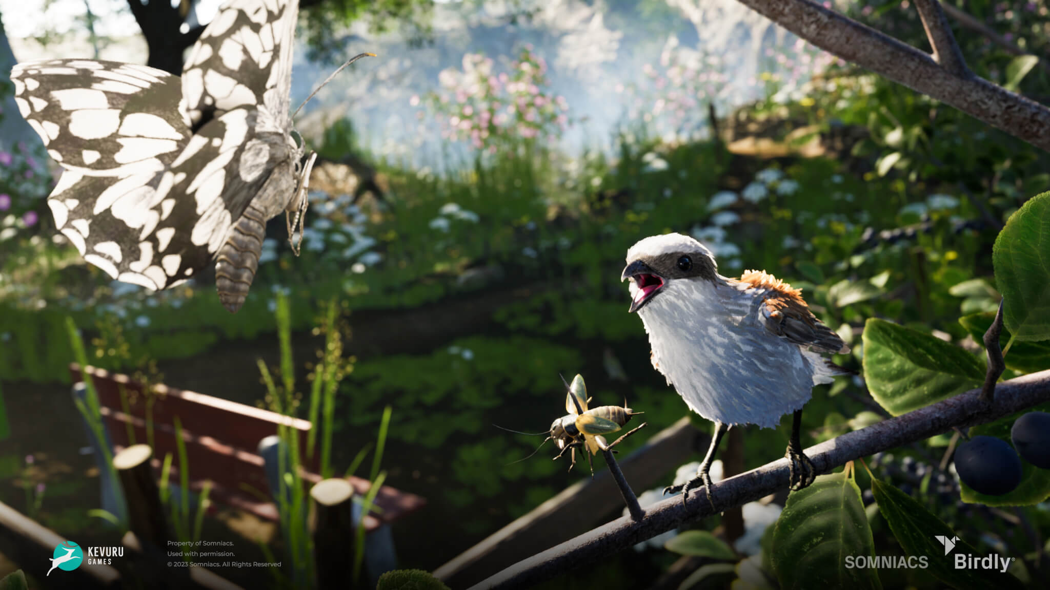 3D environment – Insects 3