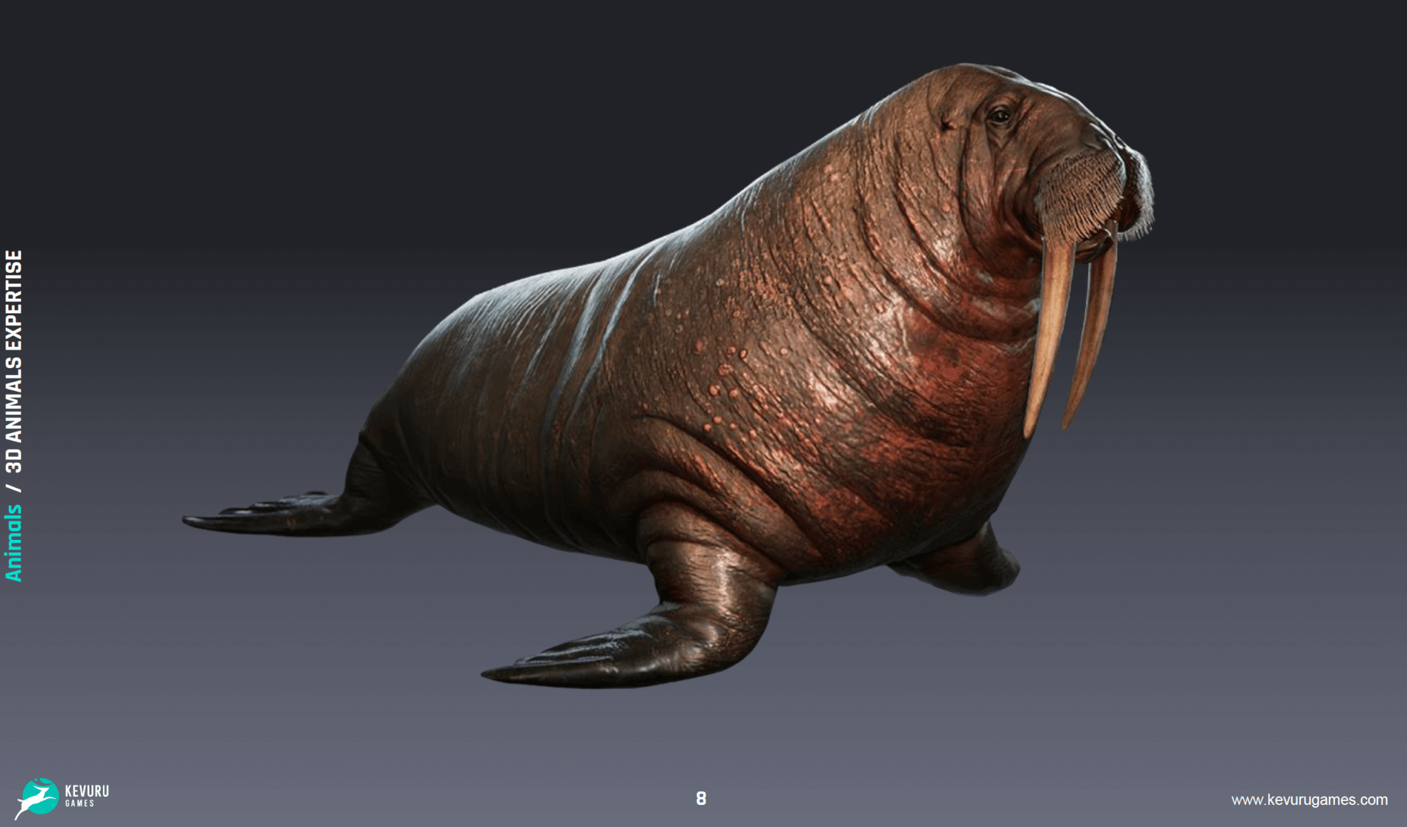 3D Animation